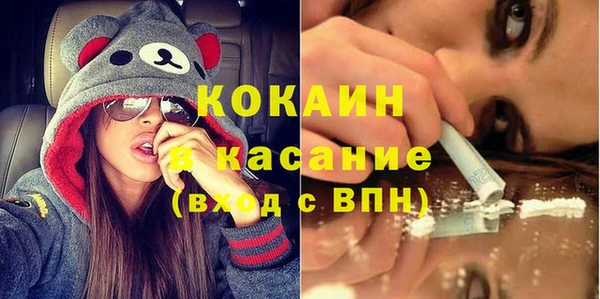 твердый Алексин