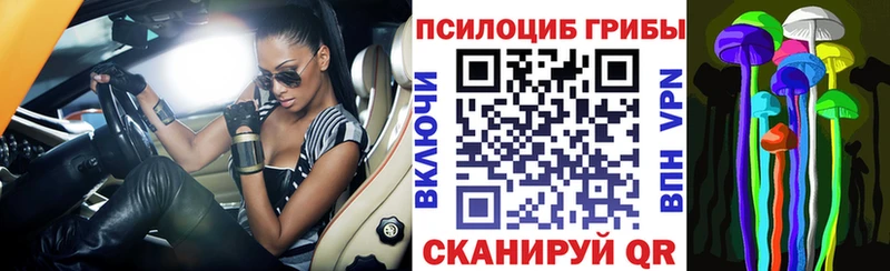 Псилоцибиновые грибы прущие грибы  где купить наркоту  Почеп 