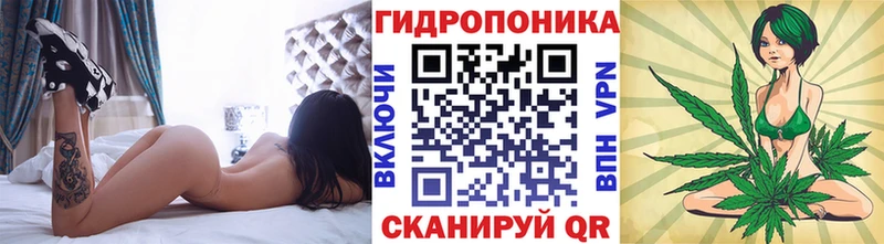 Конопля Amnesia  купить наркотики сайты  blacksprut ссылка  Почеп 